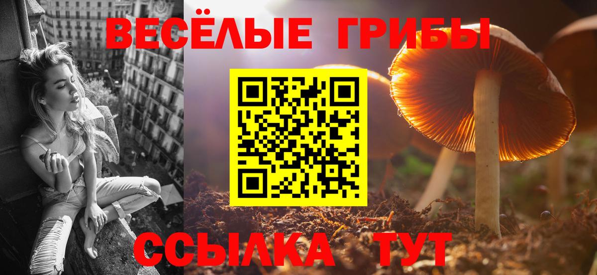 Псилоцибиновые грибы ЛСД Ухта